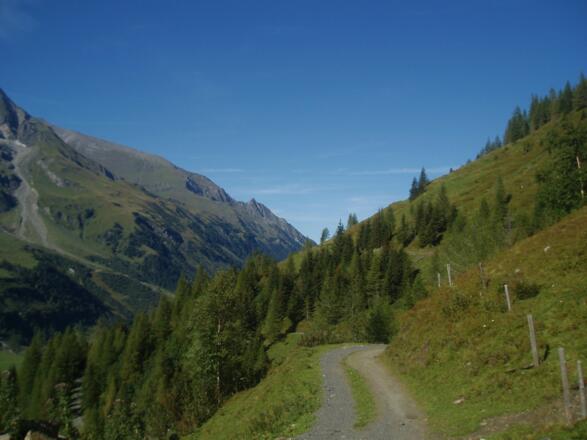 3 - Weg zur Trauneralm