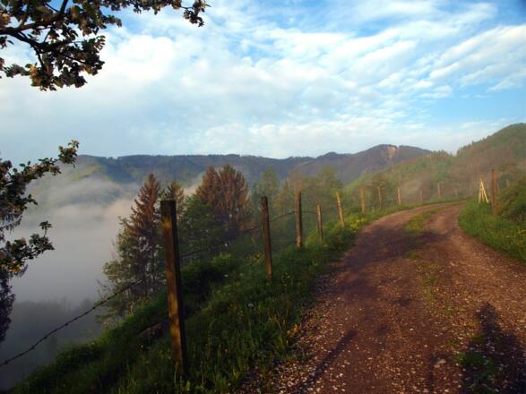 Hinterreit um 545m am Morgen