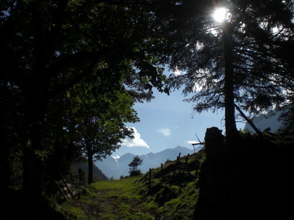 Wölflerweg - Ferleiten 3