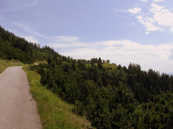 Ein letzter Blick zurück und dann geht&#039;s rasant ...