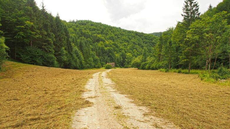 Im Schneegraben stoßen wir wieder auf Forst- und Asphaltstraße