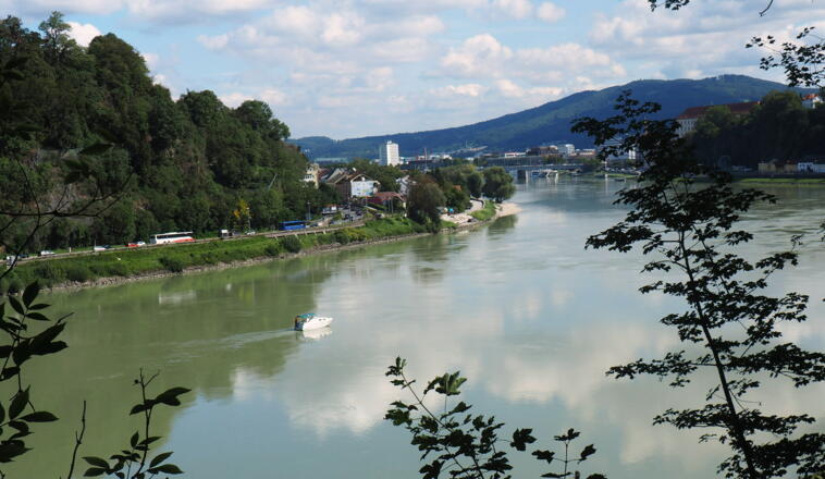 Steilabstieg zur Donau (265m)