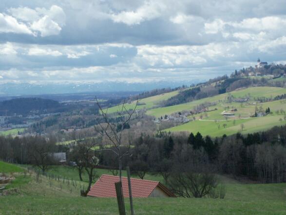 ... mit Blick zum Pöstlingberg.