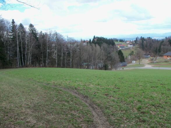 Nach einem kleinen Waldstück weiter am linken Rand des Feldes und am Ende scharf links.