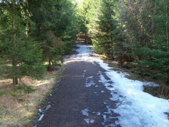 ... im Frühjahr oft noch über Schneereste