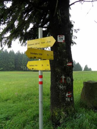 Wegweiser am Lichtenberg.