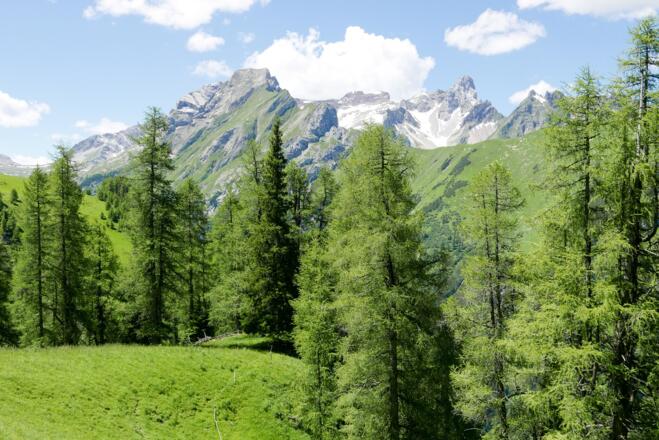 Blick vom Höhenweg Saxer Alpe - Alperschonertal zur Vorderseespitze (links) und Holzgauer Wetterspitze