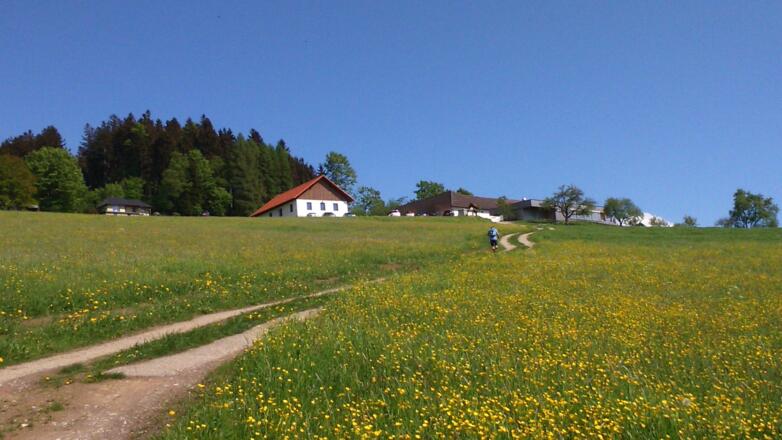 Abfahrt, Köglerhof 585m