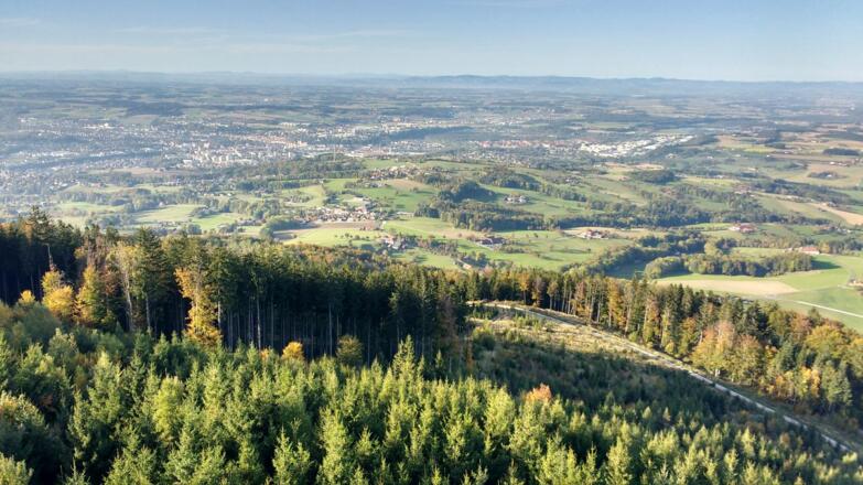 Ausblick von der Dambergwarte hinunter zum Startpunkt nach Garsten