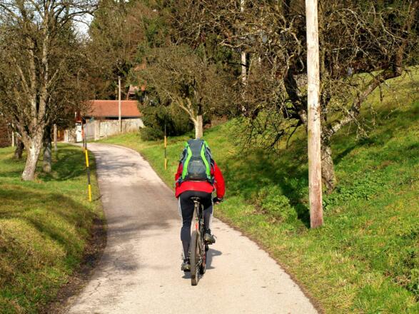 Beliebte Bikertour, um 460m.
