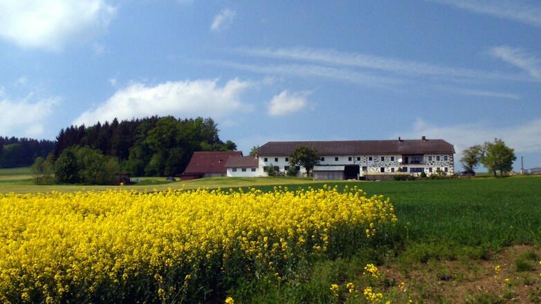 Hof Osbergerweg (730 m)