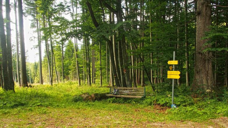 In den Mösern: von hier geht&#039;s hinunter Richtung Bodinggraben