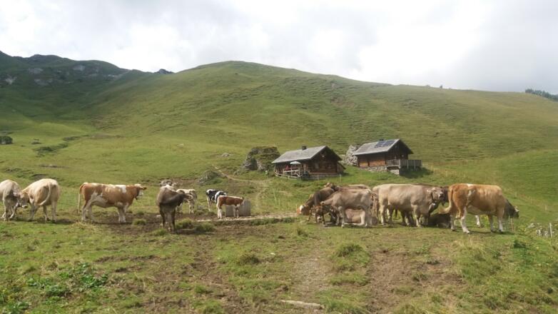 Holzpflock: Sareiseralpe und unser Weg bergauf.