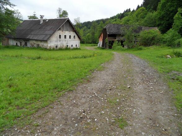 Wir kommen an aufgegebenen Höfen vorbei.
