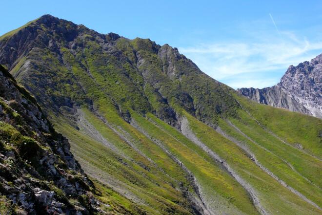 Grün - einfach nur Grün