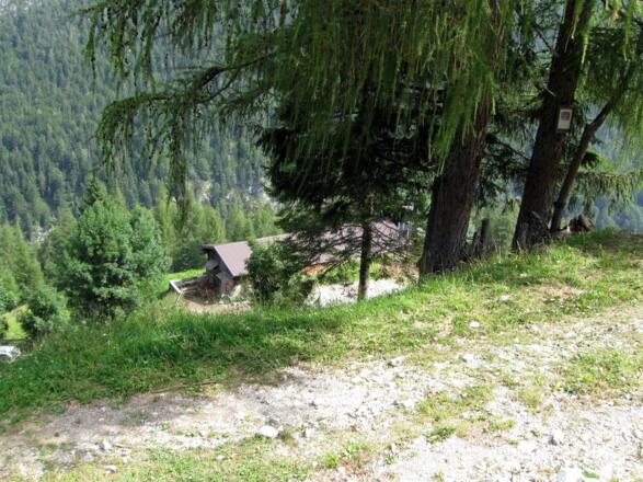 Die Ganalm ist erreicht. Sie liegt ganz versteckt etwas unterhalb der Forststraße.