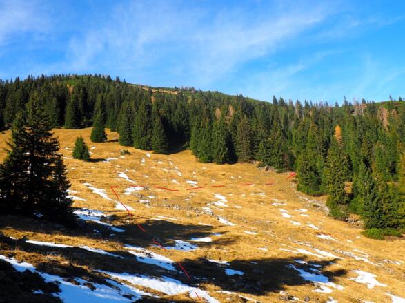 Weg zum Einstieg am Waldrand um 1380 m