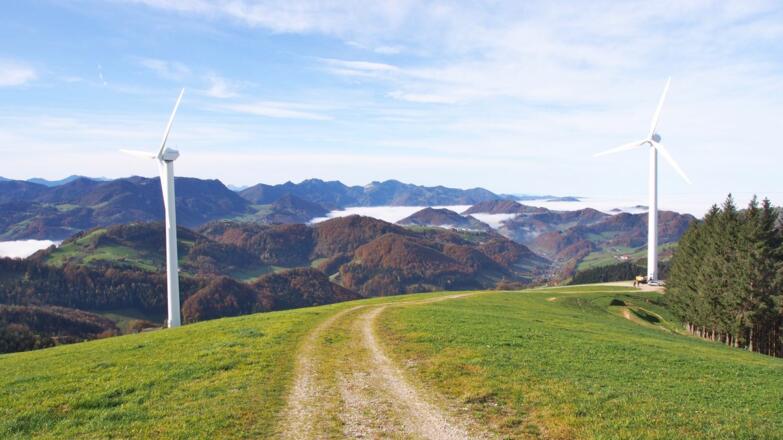 Etwas oberhalb des Weges vorbei an den Windrädern am Plattenberg
