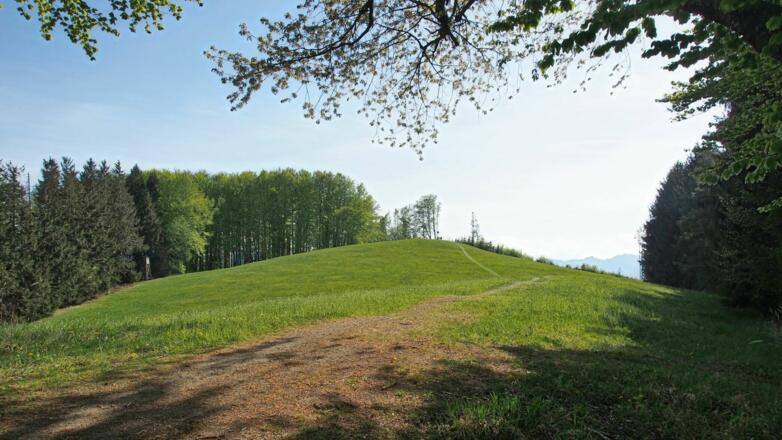 Schwarzberg-Gipfel im Rückblick