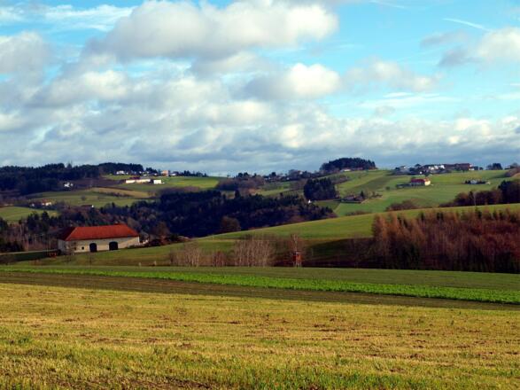 Blick ins Typische Mühlviertel um 650m