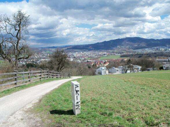 ... zurück nach Linz.