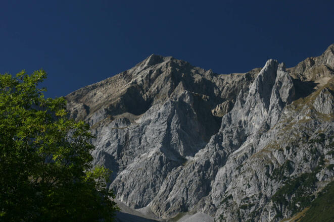 Darwinkopf vom Tal aus