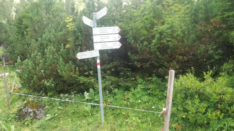 Zweiter Wegweiser nach 1 Minute: hier links halten.