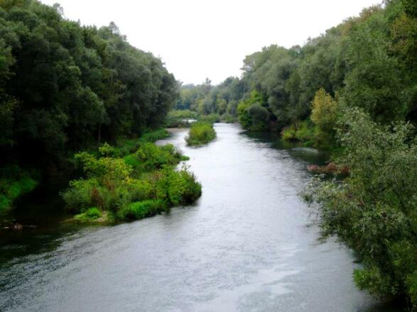 hinunter zu einem Donau-Arm