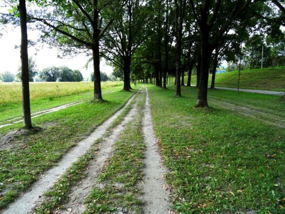 schöner Weg nach Linz