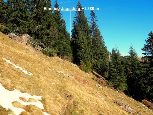 Einstieg zum Jagasteig unter der Baumleiche 1380m