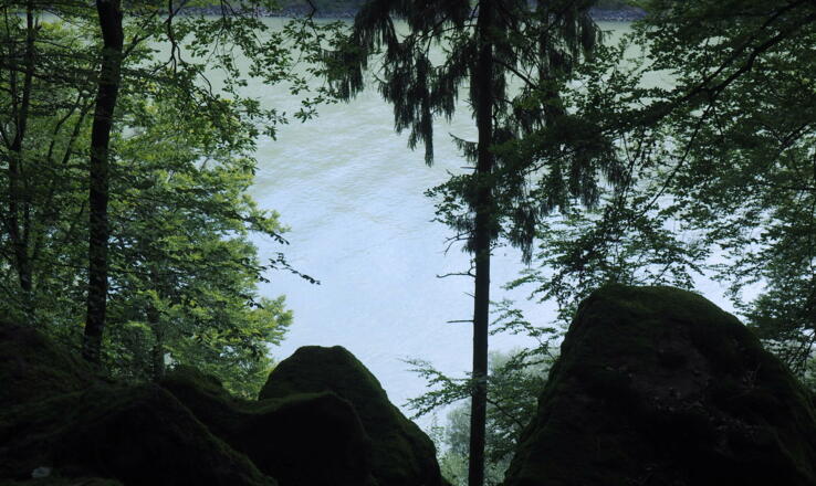 345 m Hochpunkt, Donaublick