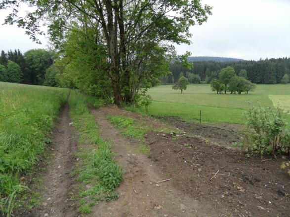 Auf Pfaden geht es entlang nach Süden.