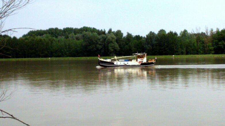 Radweg R1 an der Donau