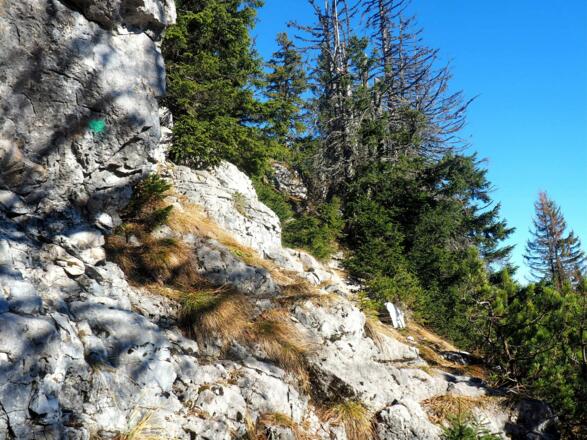 Einzelne grüne Punktmarkierungen um 1500m