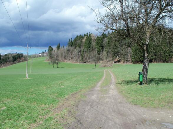 Über Wanderwege ...