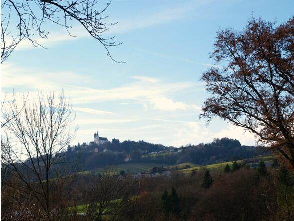 Blick zum Pöstlingberg von der Kapelle um 355m.