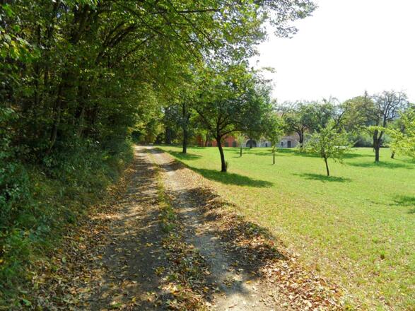 Ein Wegstück kurz vor Steyr.