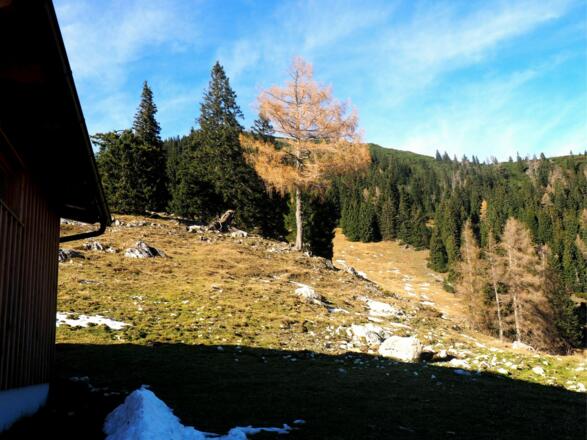 Unmarkierter Weg von der Kirchdorferhütte 1332m Richtung Lärche
