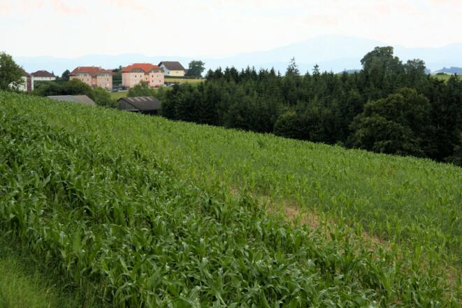 Nöstlach ist in Sicht