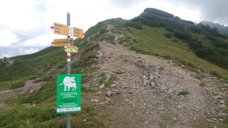 Sareiser Joch, 2000m , rechts Spitz Donnerstag, 2. August 2018 15:30:22