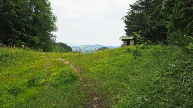 Alte Bergstation des Kurvenlifts (ehem. Schigebiet Hohe Dirn)