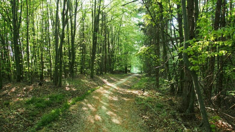 Wegverlauf hinüber zum Windloch