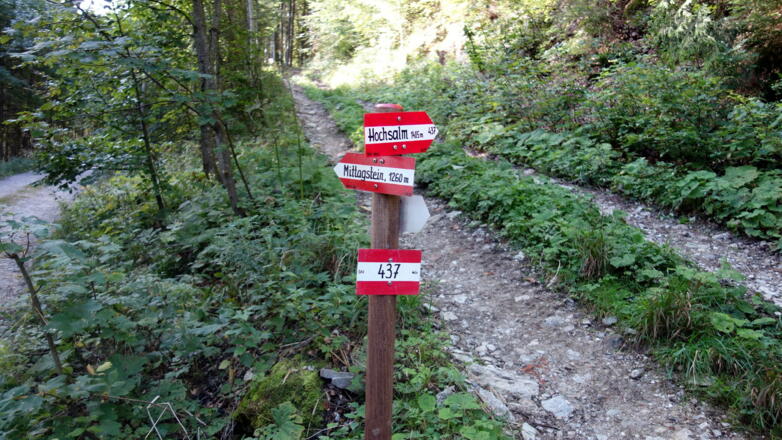 1065m rechts ab von der Forststraße