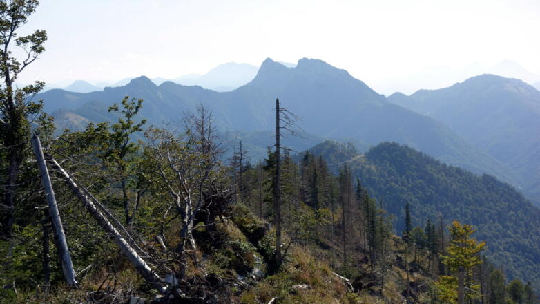 Kremsmauer vom Grat zum Mittagstein, etwas Windwurf