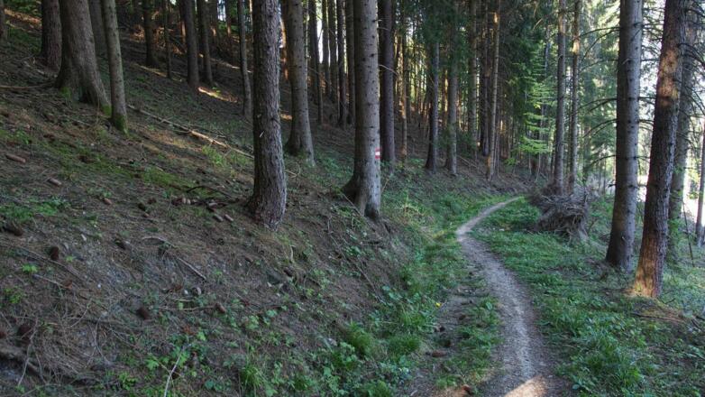 Wegverlauf vom Wirleitenberg hinunter zum Sattel
