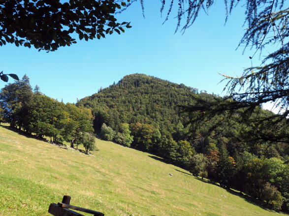 Hochbuchberg am Waldende, Zaunüberstieg 1155m