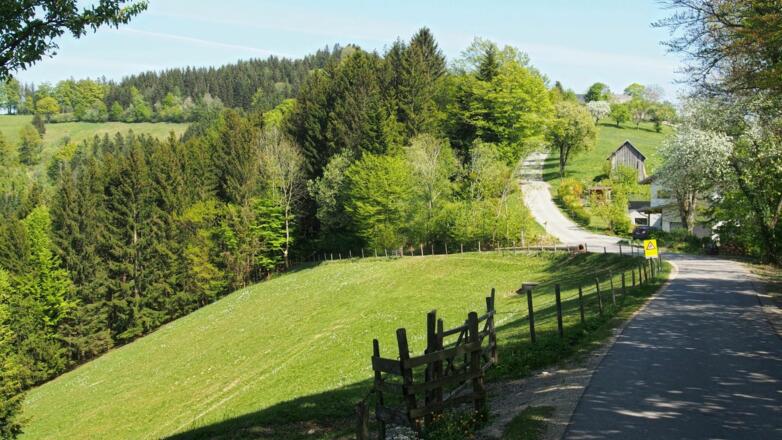 Rumplhöhe, hier zweigt der &quot;Hufeisen-Rundweg&quot; (auch das &quot;Kleine Hufeisen&quot; genannt) von links ein.