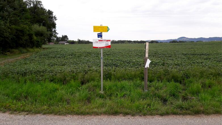 Schotterstraße nach Billa rechts