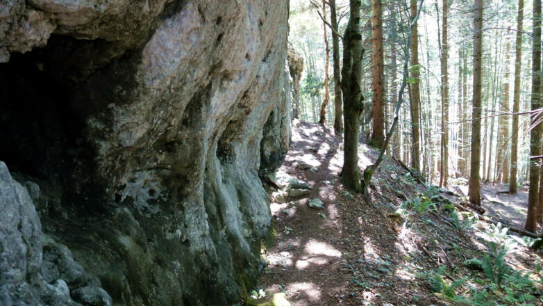 alpine Stellen am Grat um 1200 m