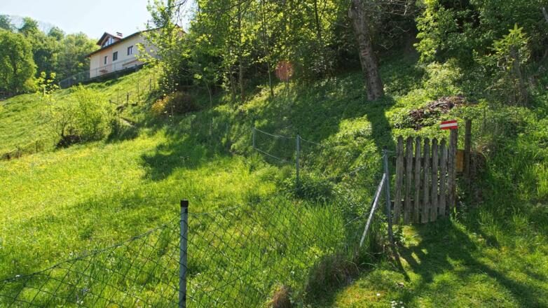 Kurzer Steig vom Gh. Schachner über die Wiese hoch zur Kammergraberstraße